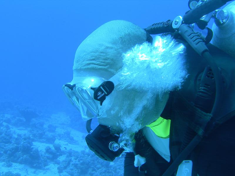 MANGROVE 07  2008 189.jpg